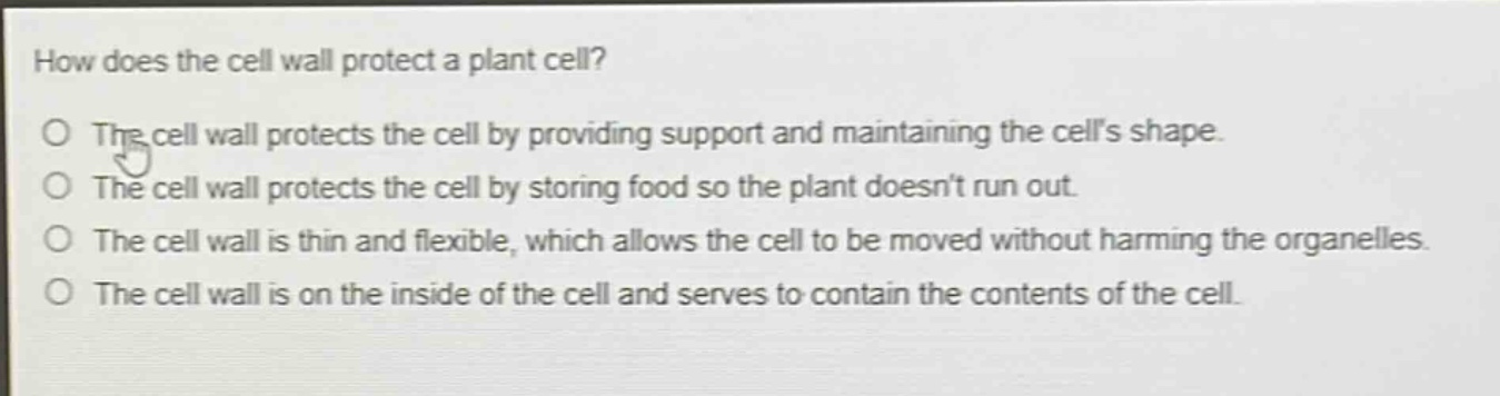 how does the cell wall protect a plant cell?\no the cell wall protects the cell by providing support and maintaining the cells shape.\no the cell wall protects the cell by storing food so the plant doesnt run out.\no the cell wall is thin and flexible, which allows the cell to be moved without harming the organelles.\no the cell wall is on the inside of the cell and serves to contain the contents of the cell.