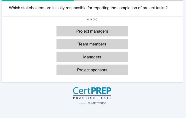which stakeholders are initially responsible for reporting the completion of project tasks?\nproject managers\nteam members\nmanagers\nproject sponsors