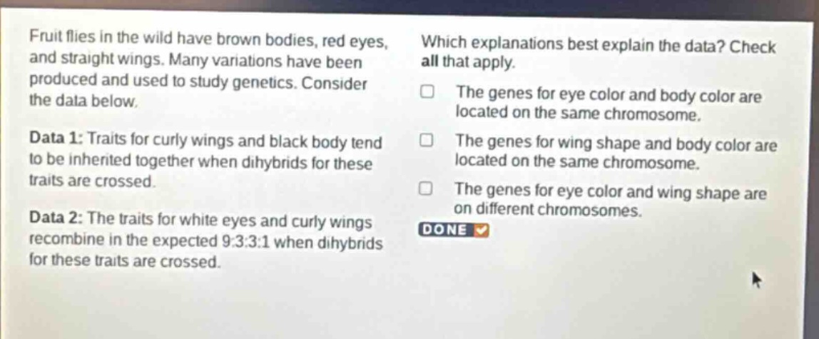 fruit flies in the wild have brown bodies, red eyes, and straight wings. many variations have been produced and used to study genetics. consider the data below.\ndata 1: traits for curly wings and black body tend to be inherited together when dihybrids for these traits are crossed.\ndata 2: the traits for white eyes and curly wings recombine in the expected 9:3:3:1 when dihybrids for these traits are crossed.\nwhich explanations best explain the data? check all that apply.\nthe genes for eye color and body color are located on the same chromosome.\nthe genes for wing shape and body color are located on the same chromosome.\nthe genes for eye color and wing shape are on different chromosomes.