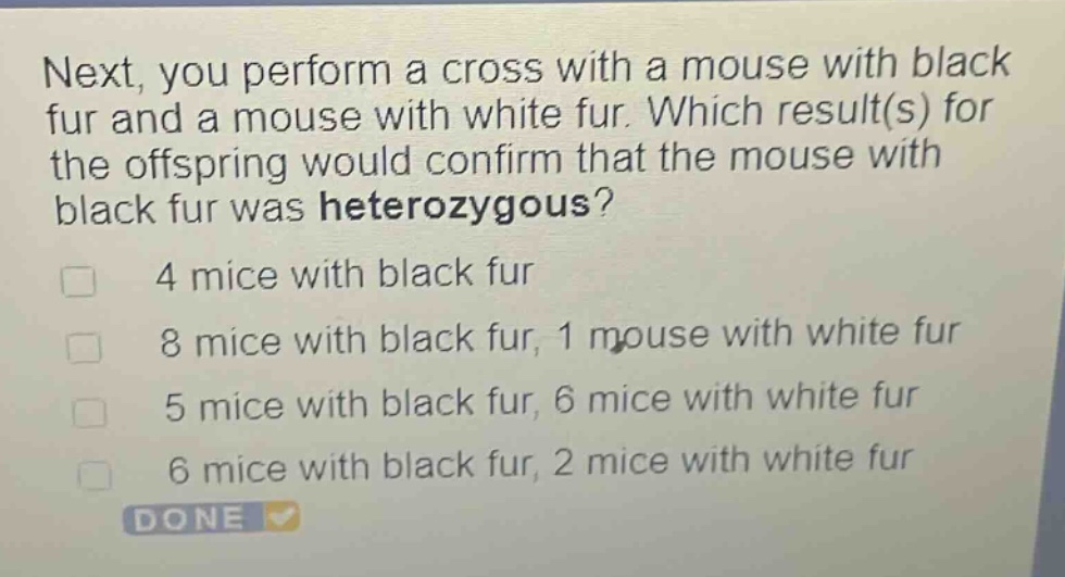 next, you perform a cross with a mouse with black fur and a mouse with white fur. which result(s) for the offspring would confirm that the mouse with black fur was heterozygous?\n4 mice with black fur\n8 mice with black fur, 1 mouse with white fur\n5 mice with black fur, 6 mice with white fur\n6 mice with black fur, 2 mice with white fur