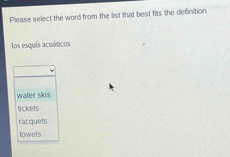 please select the word from the list that best fits the definition\nlos esquis acuáticos\nwater skis\ntickets\nracquets\ntowels