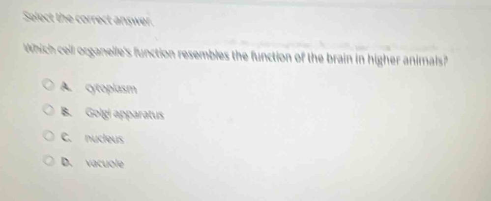 select the correct answer. which cell organelles function resembles the function of the brain in higher animals? a. cytoplasm b. golgi apparatus c. nucleus d. vacuole