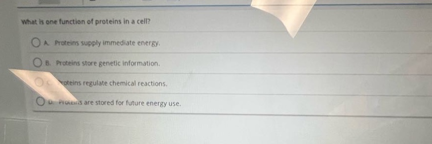 what is one function of proteins in a cell?\na. proteins supply immediate energy.\nb. proteins store genetic information.\nc. proteins regulate chemical reactions.\nd. proteins are stored for future energy use.
