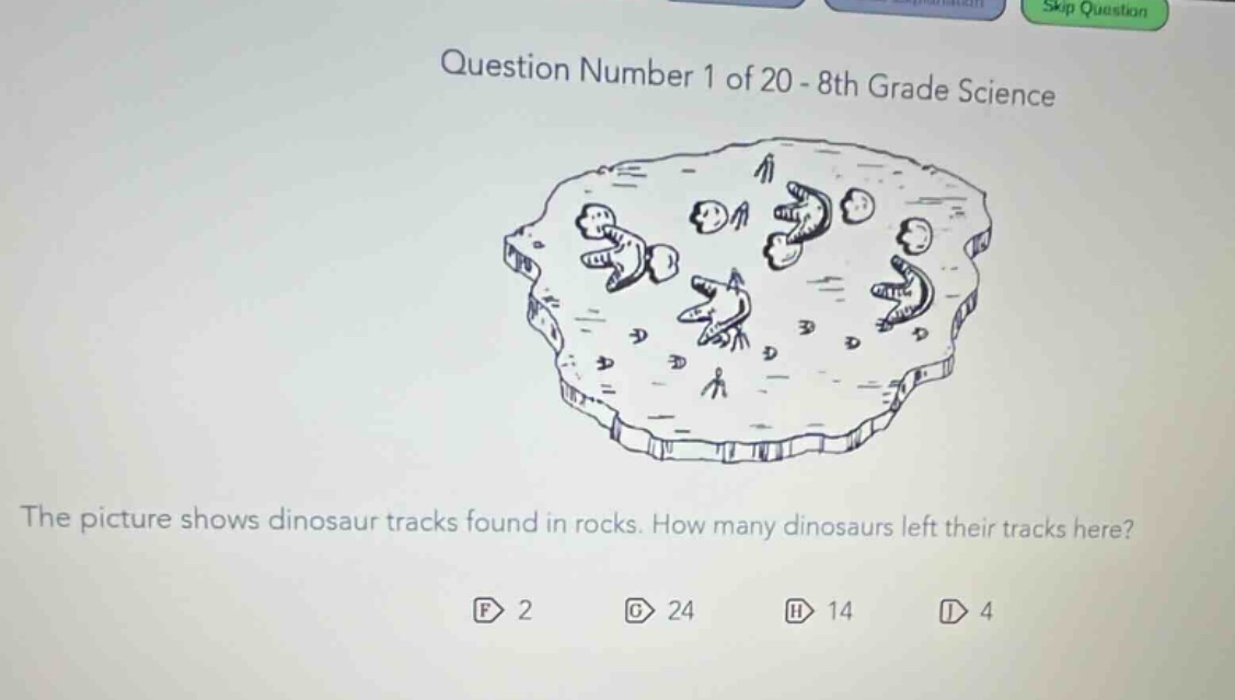 question number 1 of 20 - 8th grade science the picture shows dinosaur tracks found in rocks. how many dinosaurs left their tracks here? f 2 g 24 h 14 i 4