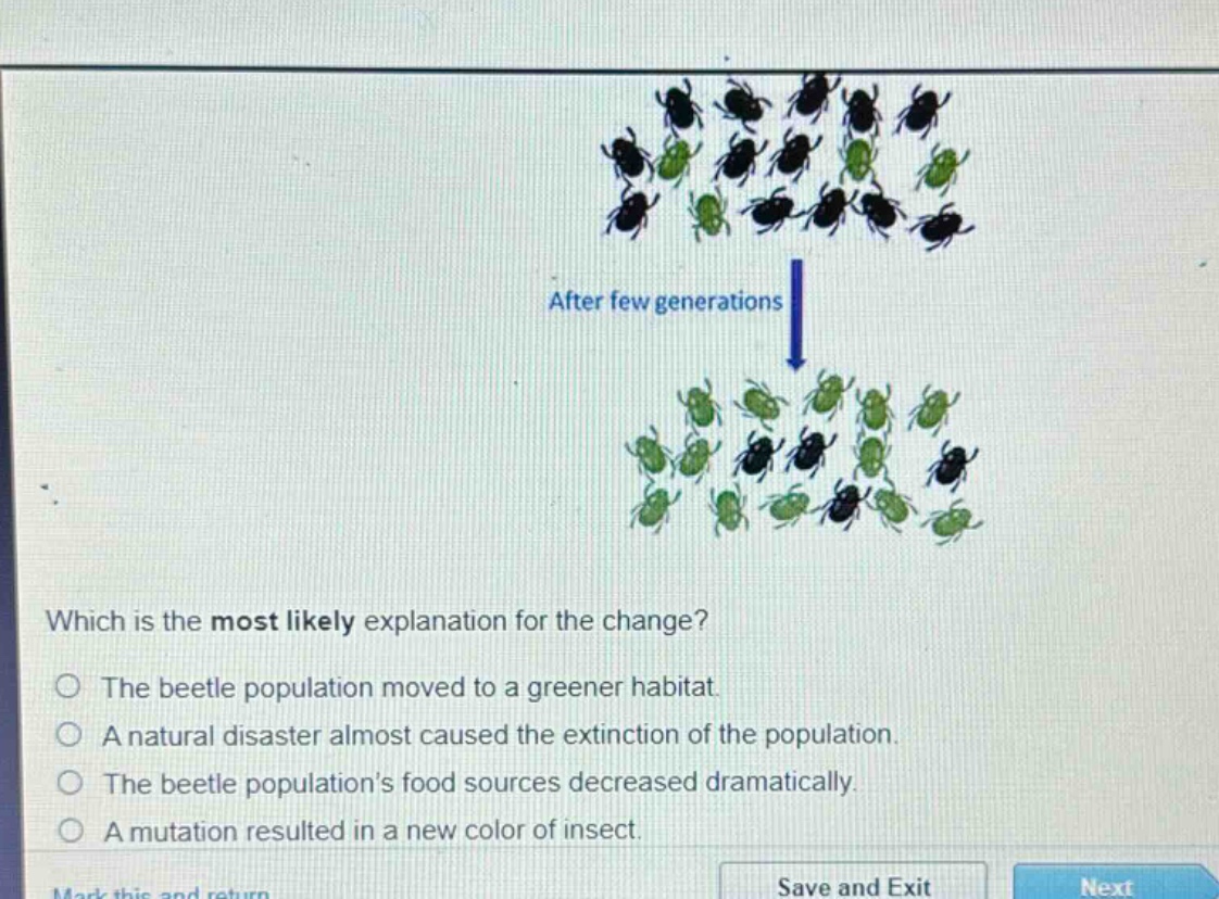 after few generations\nwhich is the most likely explanation for the change?\nthe beetle population moved to a greener habitat.\na natural disaster almost caused the extinction of the population.\nthe beetle populations food sources decreased dramatically.\na mutation resulted in a new color of insect.