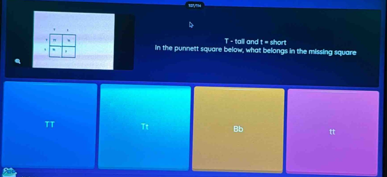 t - tall and t = short. in the punnett square below, what belongs in the missing square