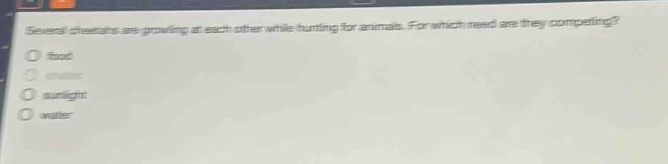 several cheetahs are growling at each other while hunting for animals. for which need are they competing?\n○ food\n○ shelter\n○ sunlight\n○ water