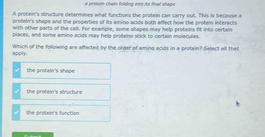 a protein chain folding into its final shape\na proteins structure determines what functions the protein can carry out. this is because a proteins shape and the properties of its amino acids both affect how the protein interacts with other parts of the cell. for example, some shapes may help proteins fit into certain places, and some amino acids may help proteins stick to certain molecules.\nwhich of the following are affected by the order of amino acids in a protein? select all that apply.\nthe proteins shape\nthe proteins structure\nthe proteins function