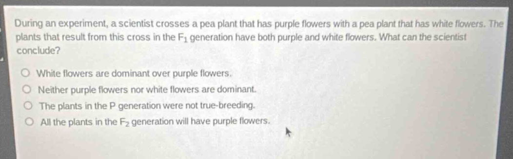 during an experiment, a scientist crosses a pea plant that has purple flowers with a pea plant that has white flowers. the plants that result from this cross in the f₁ generation have both purple and white flowers. what can the scientist conclude?\no white flowers are dominant over purple flowers.\no neither purple flowers nor white flowers are dominant.\no the plants in the p generation were not true - breeding.\no all the plants in the f₂ generation will have purple flowers.