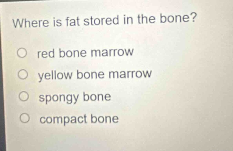 where is fat stored in the bone?\no red bone marrow\no yellow bone marrow\no spongy bone\no compact bone