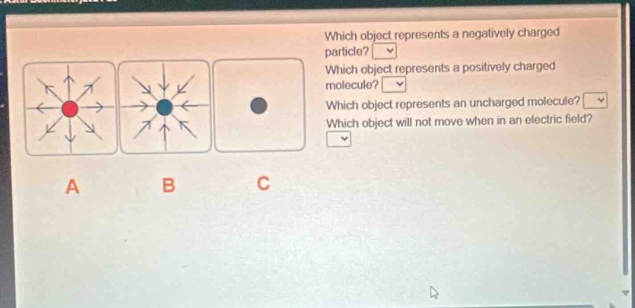 which object represents a negatively charged particle? which object represents a positively charged molecule? which object represents an uncharged molecule? which object will not move when in an electric field?