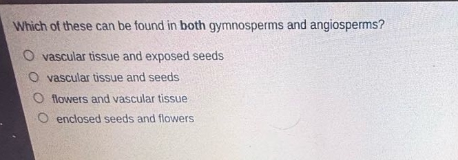 which of these can be found in both gymnosperms and angiosperms?\no vascular tissue and exposed seeds\no vascular tissue and seeds\no flowers and vascular tissue\no enclosed seeds and flowers