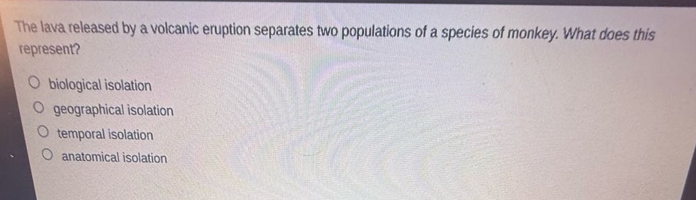 the lava released by a volcanic eruption separates two populations of a species of monkey. what does this represent?\no biological isolation\no geographical isolation\no temporal isolation\no anatomical isolation