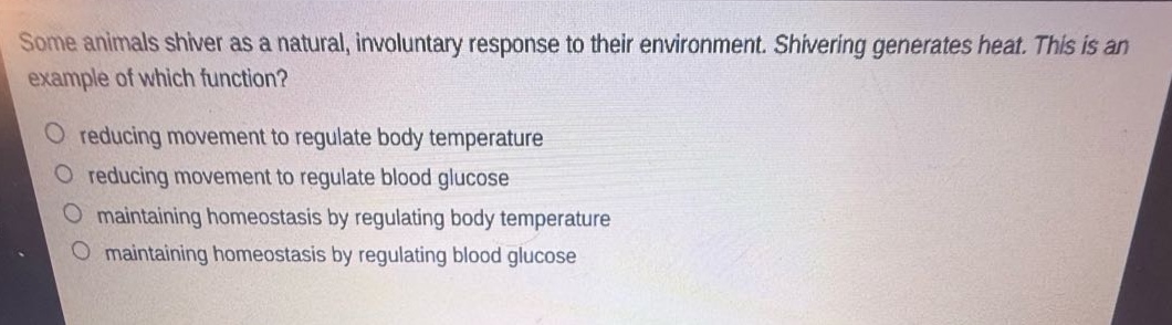 some animals shiver as a natural, involuntary response to their environment. shivering generates heat. this is an example of which function?\no reducing movement to regulate body temperature\no reducing movement to regulate blood glucose\no maintaining homeostasis by regulating body temperature\no maintaining homeostasis by regulating blood glucose