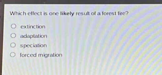 which effect is one likely result of a forest fire?\n○ extinction\n○ adaptation\n○ speciation\n○ forced migration