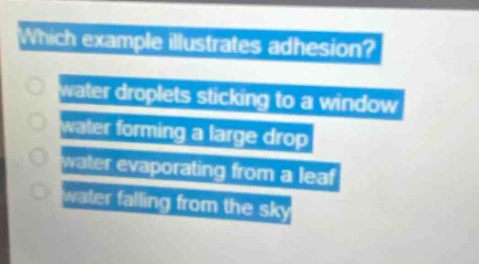 which example illustrates adhesion?\nwater droplets sticking to a window\nwater forming a large drop\nwater evaporating from a leaf\nwater falling from the sky