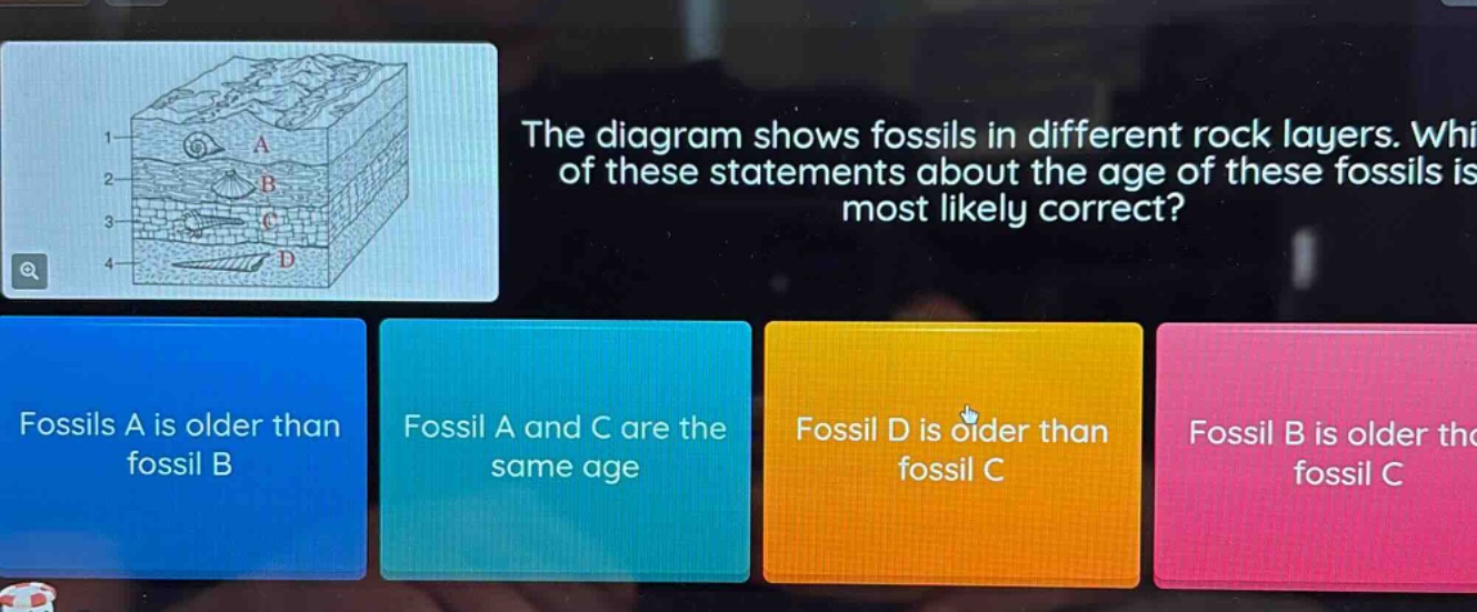 the diagram shows fossils in different rock layers. which of these statements about the age of these fossils is most likely correct? fossils a is older than fossil b fossil a and c are the same age fossil d is older than fossil c fossil b is older than fossil c