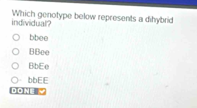 which genotype below represents a dihybrid individual?\n○ bbee\n○ bbee\n○ bbee\n○ bbee\ndone