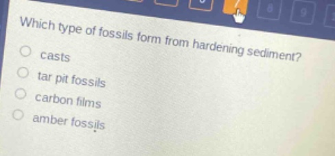 which type of fossils form from hardening sediment?\ncasts\ntar pit fossils\ncarbon films\namber fossils