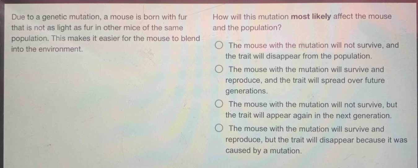 due to a genetic mutation, a mouse is born with fur that is not as light as fur in other mice of the same population. this makes it easier for the mouse to blend into the environment. how will this mutation most likely affect the mouse and the population? the mouse with the mutation will not survive, and the trait will disappear from the population. the mouse with the mutation will survive and reproduce, and the trait will spread over future generations. the mouse with the mutation will not survive, but the trait will appear again in the next generation. the mouse with the mutation will survive and reproduce, but the trait will disappear because it was caused by a mutation.