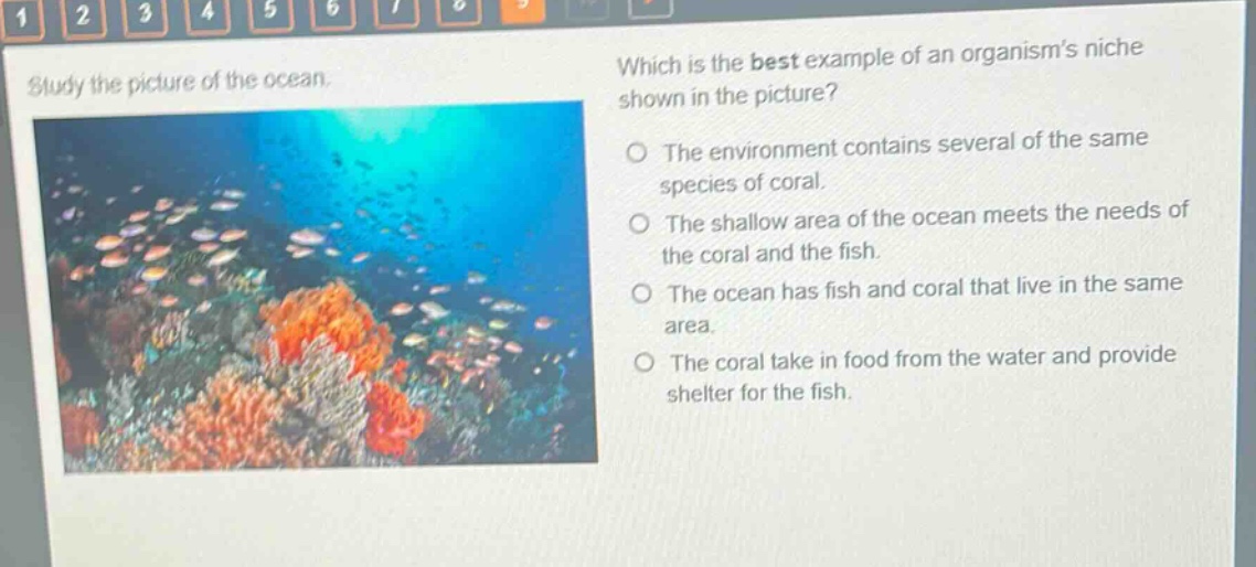 study the picture of the ocean. which is the best example of an organisms niche shown in the picture? the environment contains several of the same species of coral. the shallow area of the ocean meets the needs of the coral and the fish. the ocean has fish and coral that live in the same area. the coral take in food from the water and provide shelter for the fish.