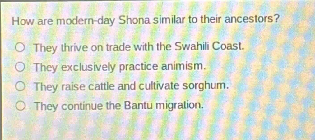 how are modern - day shona similar to their ancestors?\no they thrive on trade with the swahili coast.\no they exclusively practice animism.\no they raise cattle and cultivate sorghum.\no they continue the bantu migration.