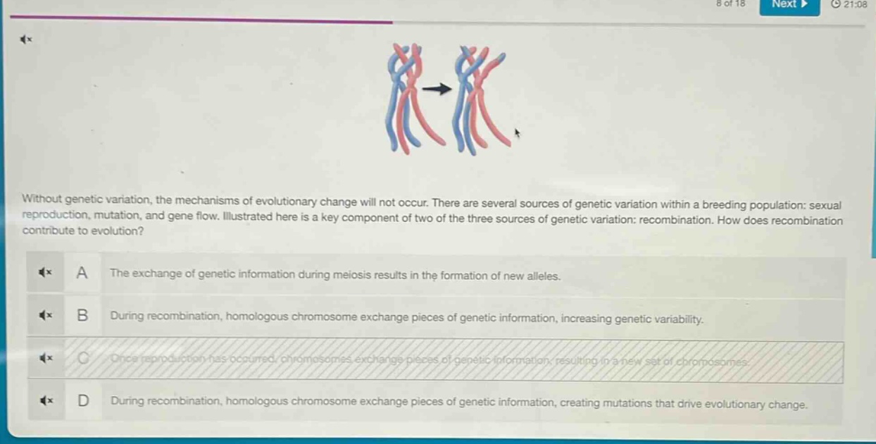 without genetic variation, the mechanisms of evolutionary change will not occur. there are several sources of genetic variation within a breeding population: sexual reproduction, mutation, and gene flow. illustrated here is a key component of two of the three sources of genetic variation: recombination. how does recombination contribute to evolution?\na the exchange of genetic information during meiosis results in the formation of new alleles.\nb during recombination, homologous chromosome exchange pieces of genetic information, increasing genetic variability.\nc once reproduction has occurred, chromosomes exchange pieces of genetic information, resulting in a new set of chromosomes.\nd during recombination, homologous chromosome exchange pieces of genetic information, creating mutations that drive evolutionary change.