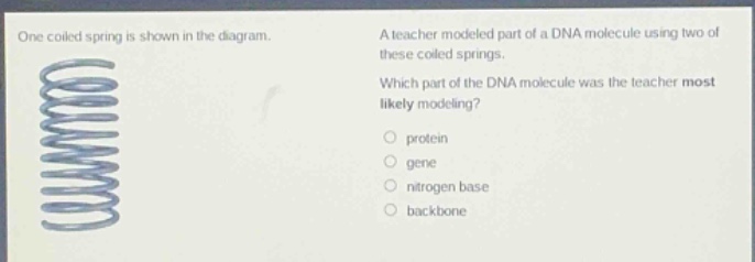 one coiled spring is shown in the diagram. a teacher modeled part of a dna molecule using two of these coiled springs. which part of the dna molecule was the teacher most likely modeling? protein gene nitrogen base backbone
