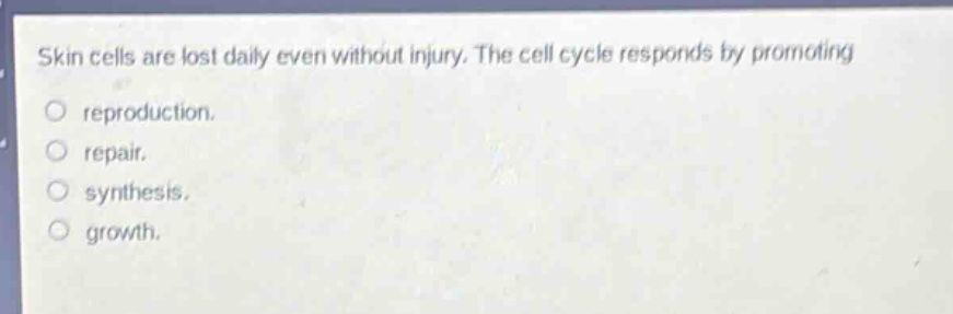 skin cells are lost daily even without injury. the cell cycle responds by promoting\nreproduction.\nrepair.\nsynthesis.\ngrowth.