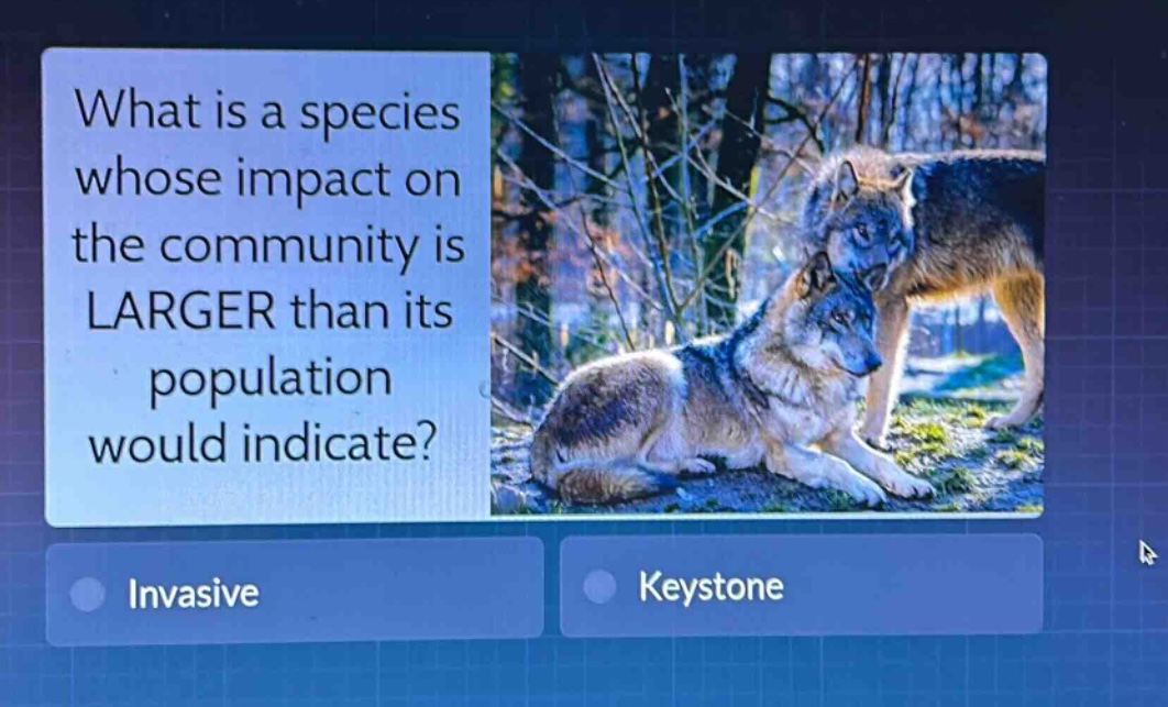 what is a species whose impact on the community is larger than its population would indicate?\ninvasive\nkeystone