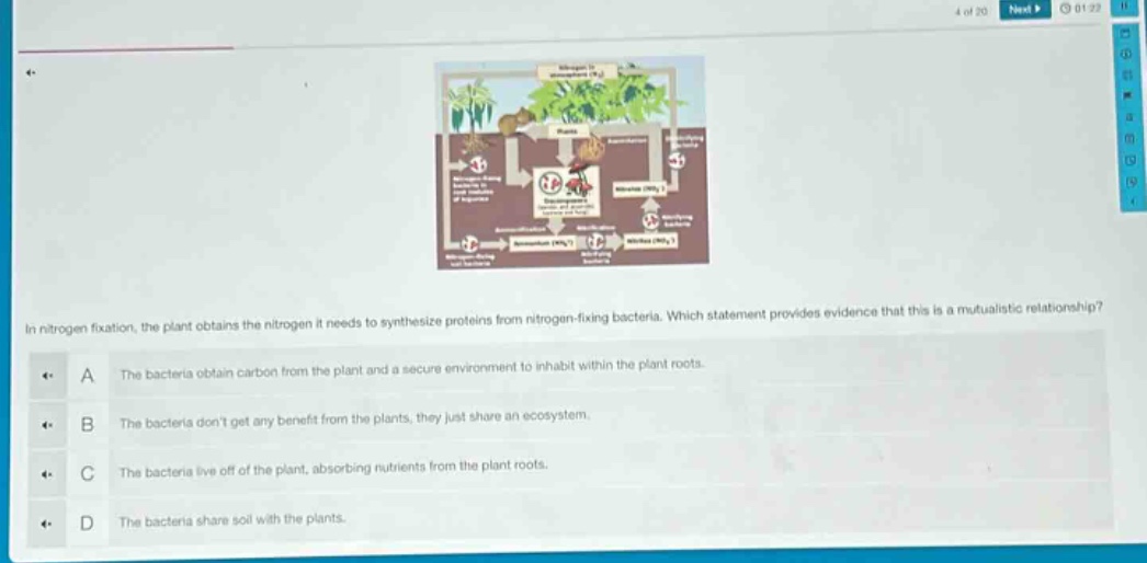 in nitrogen fixation, the plant obtains the nitrogen it needs to synthesize proteins from nitrogen - fixing bacteria. which statement provides evidence that this is a mutualistic relationship?\na the bacteria obtain carbon from the plant and a secure environment to inhabit within the plant roots.\nb the bacteria dont get any benefit from the plants, they just share an ecosystem.\nc the bacteria live off of the plant, absorbing nutrients from the plant roots.\nd the bacteria share soil with the plants.