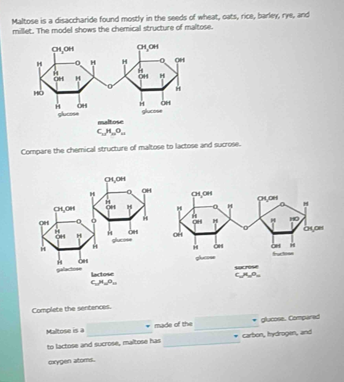 maltose is a disaccharide found mostly in the seeds of wheat, oats, rice, barley, rye, and millet. the model shows the chemical structure of maltose. compare the chemical structure of maltose to lactose and sucrose. complete the sentences. maltose is a made of the glucose. compared to lactose and sucrose, maltose has carbon, hydrogen, and oxygen atoms.