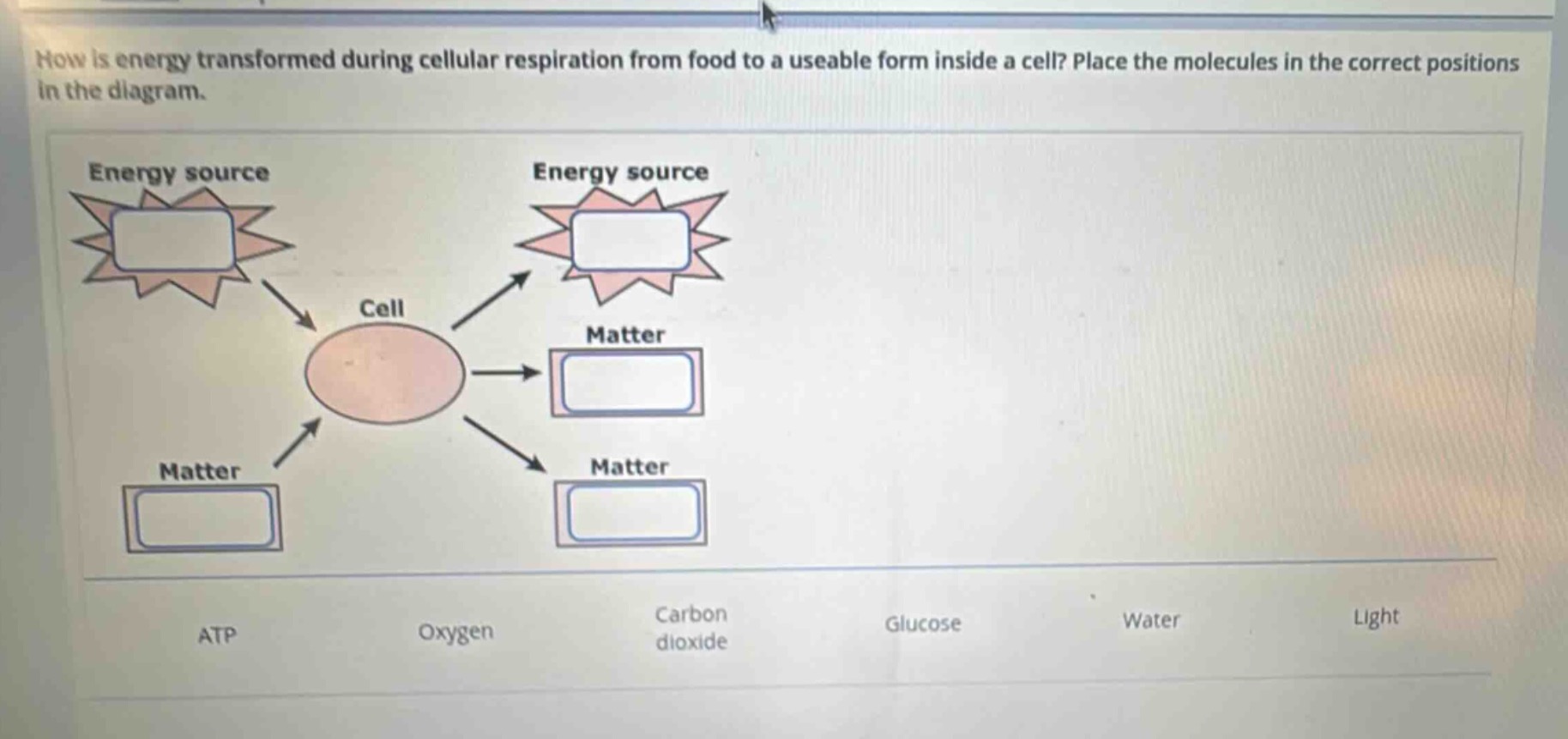 how is energy transformed during cellular respiration from food to a useable form inside a cell? place the molecules in the correct positions in the diagram.\nenergy source\ncell\nmatter\nmatter\nmatter\natp\noxygen\ncarbon dioxide\nglucose\nwater\nlight