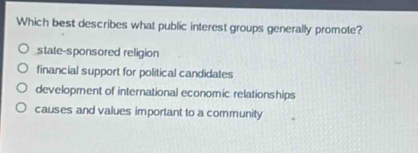 which best describes what public interest groups generally promote?\no state - sponsored religion\no financial support for political candidates\no development of international economic relationships\no causes and values important to a community
