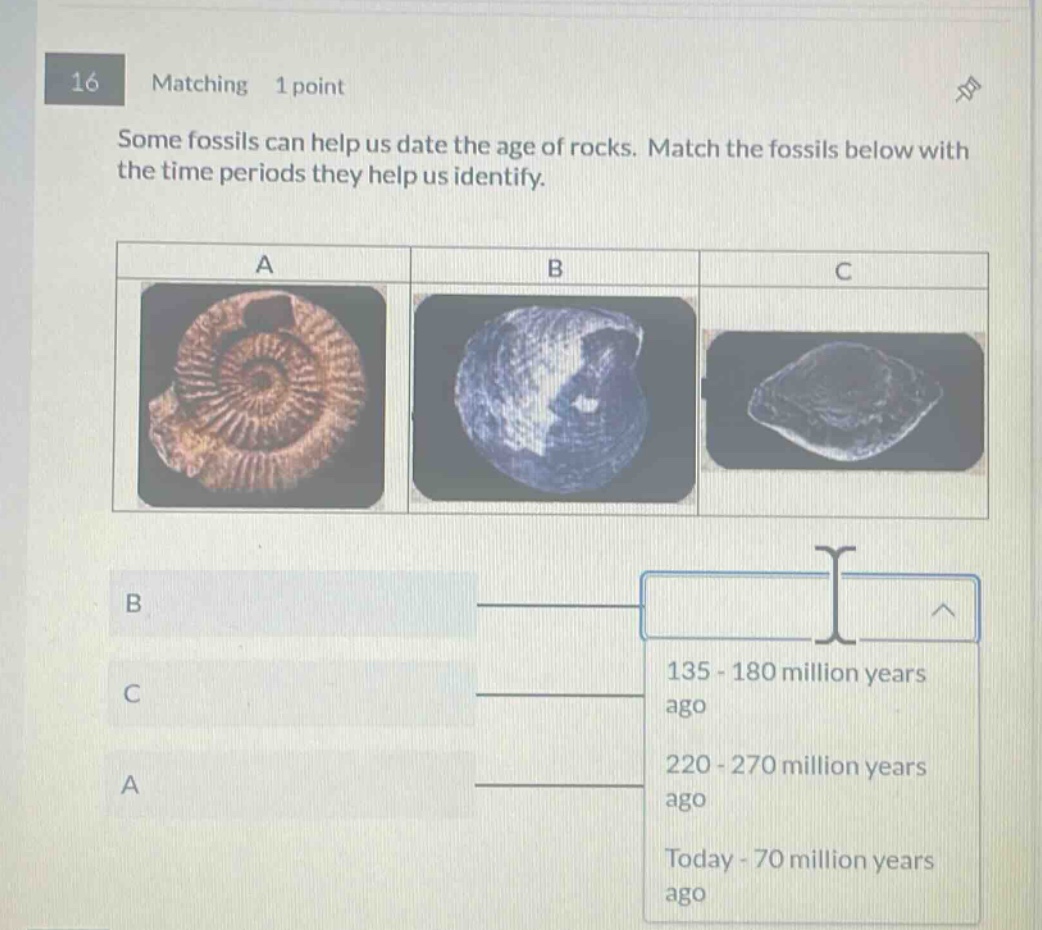 16 matching 1 point some fossils can help us date the age of rocks. match the fossils below with the time periods they help us identify. b c a 135 - 180 million years ago 220 - 270 million years ago today - 70 million years ago