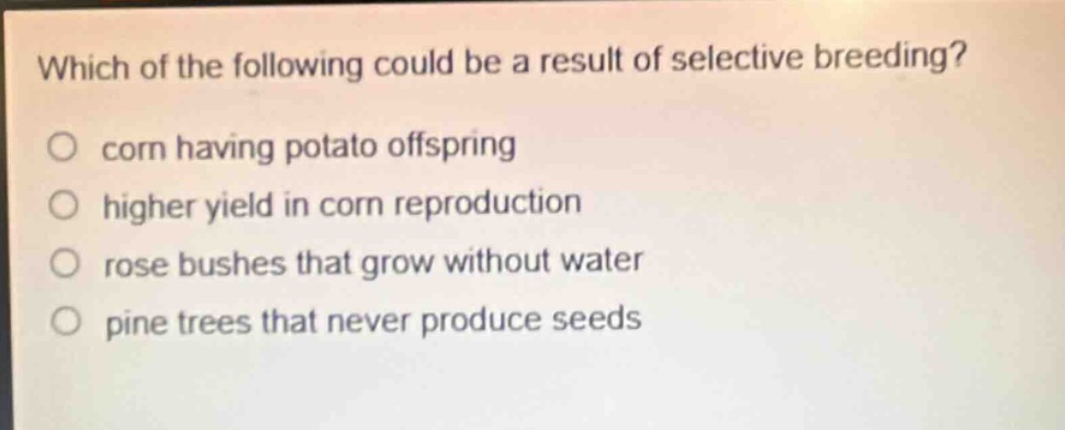 which of the following could be a result of selective breeding?\no corn having potato offspring\no higher yield in corn reproduction\no rose bushes that grow without water\no pine trees that never produce seeds