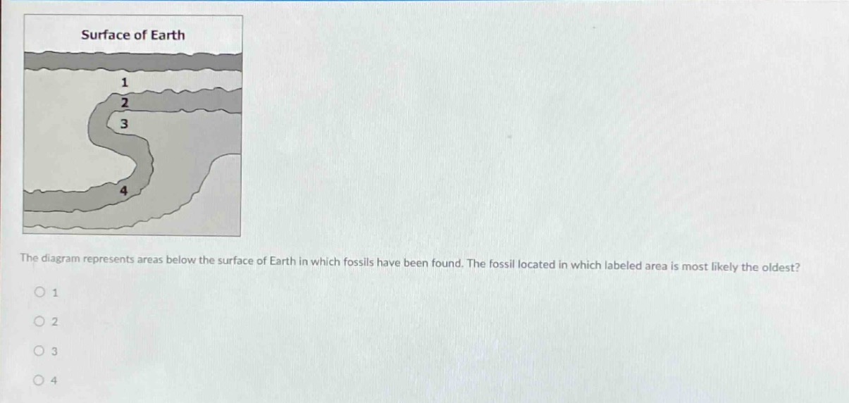 the diagram represents areas below the surface of earth in which fossils have been found. the fossil located in which labeled area is most likely the oldest?\n1\n2\n3\n4