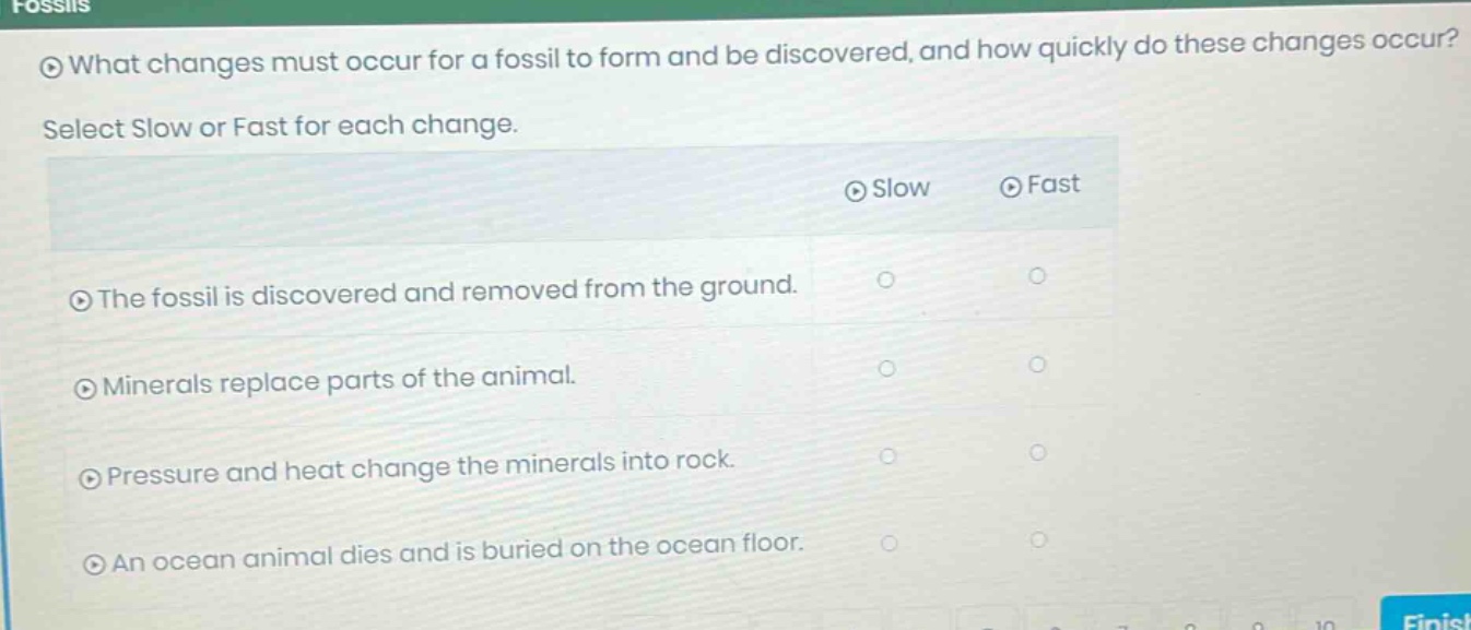 what changes must occur for a fossil to form and be discovered, and how quickly do these changes occur? select slow or fast for each change. the fossil is discovered and removed from the ground. minerals replace parts of the animal. pressure and heat change the minerals into rock. an ocean animal dies and is buried on the ocean floor.