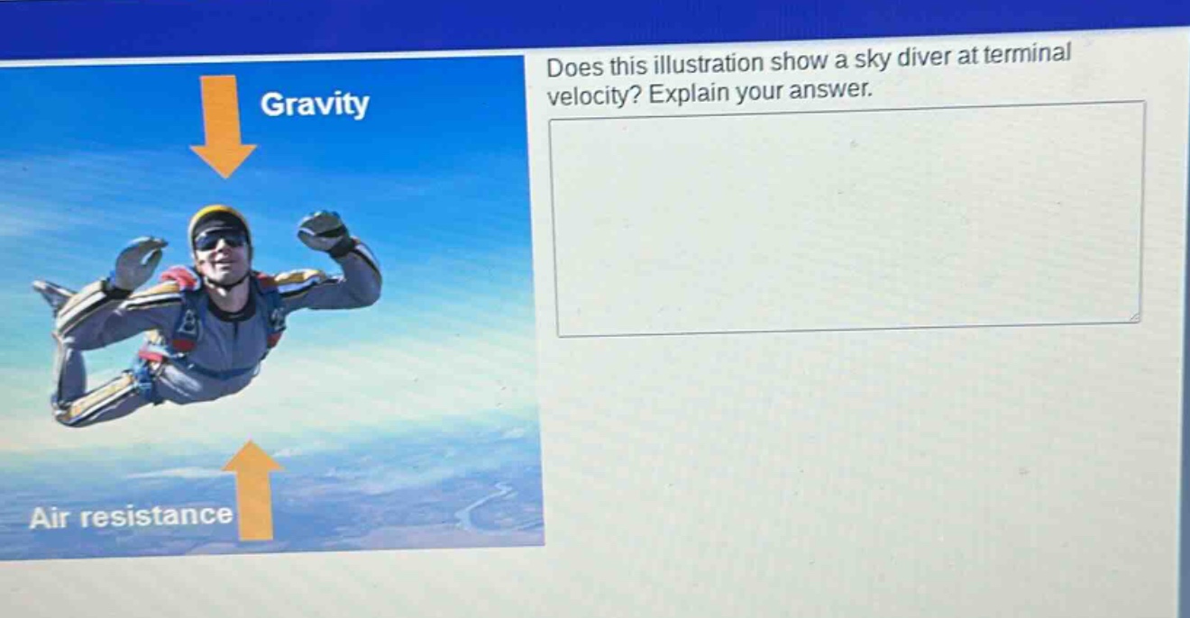 does this illustration show a sky diver at terminal velocity? explain your answer.