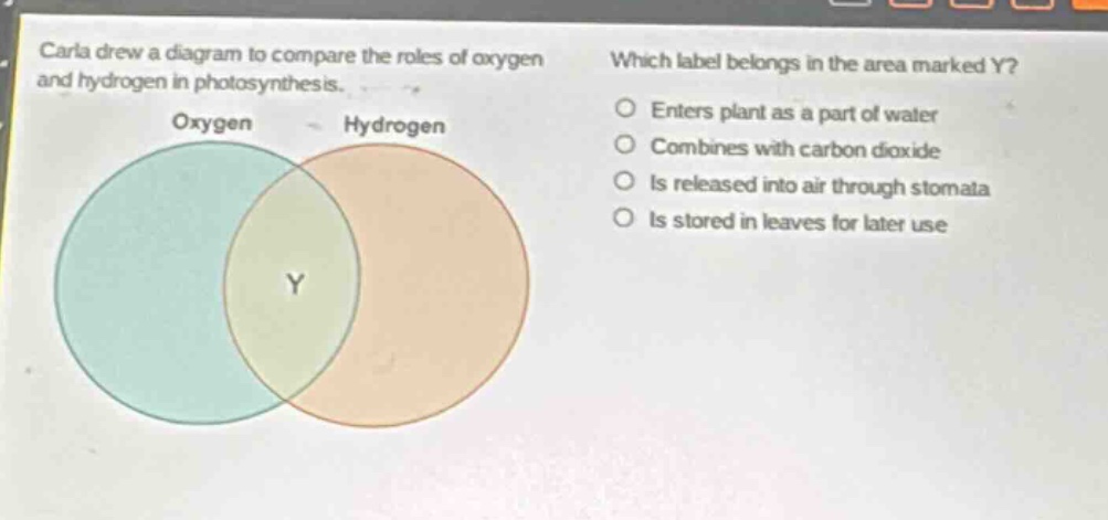 carla drew a diagram to compare the roles of oxygen and hydrogen in photosynthesis. which label belongs in the area marked y? oxygen hydrogen enters plant as a part of water combines with carbon dioxide is released into air through stomata is stored in leaves for later use