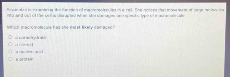 a scientist is examining the function of macromolecules in a cell. she notices that movement of large molecules into and out of the cell is disrupted when she damages one specific type of macromolecule.\nwhich macromolecule has she most likely damaged?\no a carbohydrate\no a steroid\no a nucleic acid\no a protein