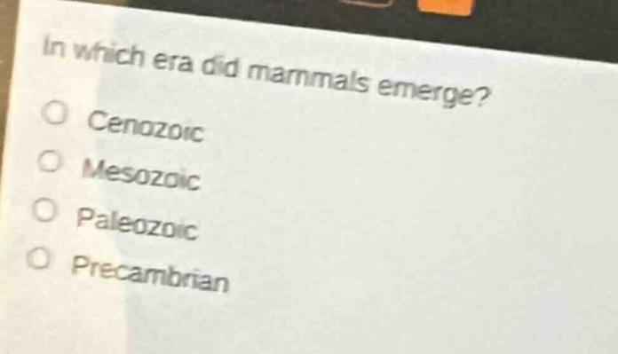 in which era did mammals emerge?\no cenozoic\no mesozoic\no paleozoic\no precambrian