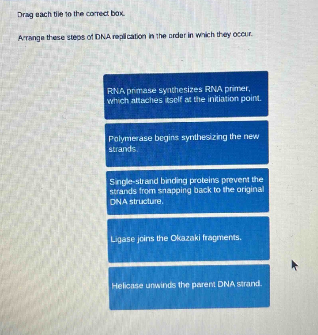 drag each tile to the correct box. arrange these steps of dna replication in the order in which they occur. rna primase synthesizes rna primer, which attaches itself at the initiation point. polymerase begins synthesizing the new strands. single - strand binding proteins prevent the strands from snapping back to the original dna structure. ligase joins the okazaki fragments. helicase unwinds the parent dna strand.