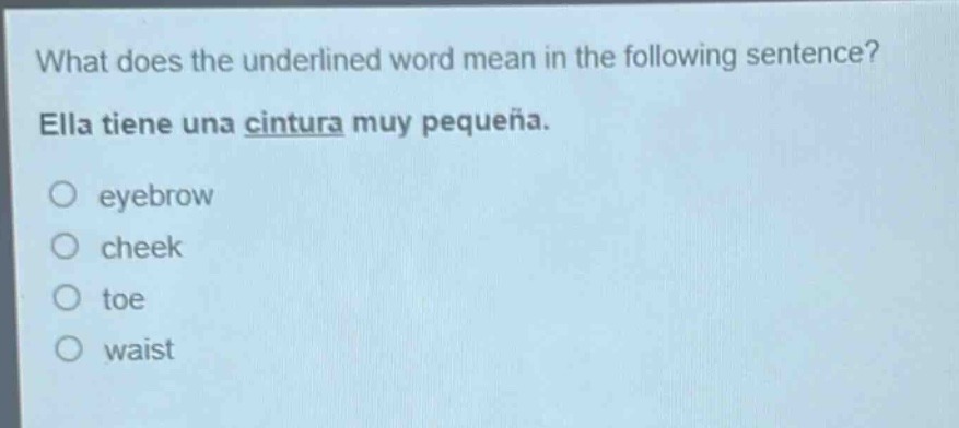 what does the underlined word mean in the following sentence? ella tiene una cintura muy pequeña. eyebrow cheek toe waist