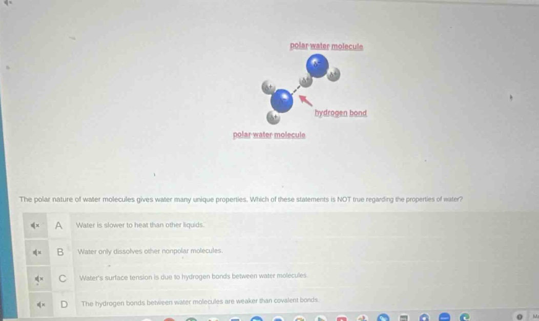 the polar nature of water molecules gives water many unique properties. which of these statements is not true regarding the properties of water?\na water is slower to heat than other liquids.\nb water only dissolves other nonpolar molecules.\nc waters surface tension is due to hydrogen bonds between water molecules.\nd the hydrogen bonds between water molecules are weaker than covalent bonds.