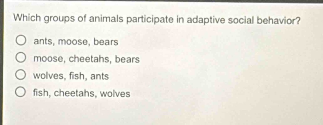 which groups of animals participate in adaptive social behavior?\no ants, moose, bears\no moose, cheetahs, bears\no wolves, fish, ants\no fish, cheetahs, wolves