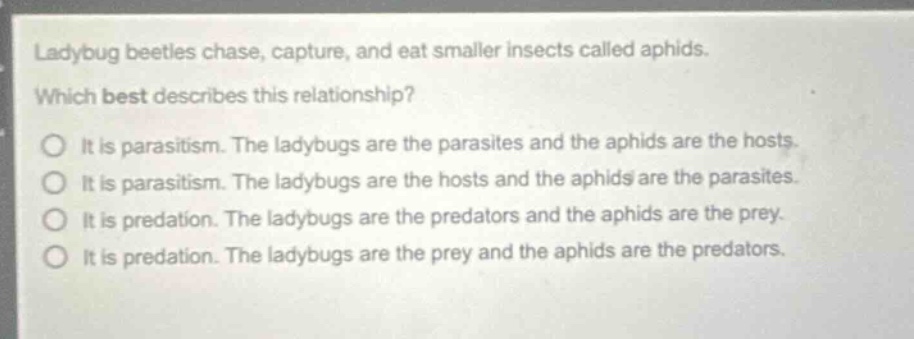 ladybug beetles chase, capture, and eat smaller insects called aphids. which best describes this relationship? it is parasitism. the ladybugs are the parasites and the aphids are the hosts. it is parasitism. the ladybugs are the hosts and the aphids are the parasites. it is predation. the ladybugs are the predators and the aphids are the prey. it is predation. the ladybugs are the prey and the aphids are the predators.