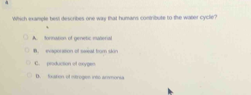 which example best describes one way that humans contribute to the water cycle?\na. formation of genetic material\nb. evaporation of sweat from skin\nc. production of oxygen\nd. fixation of nitrogen into ammonia
