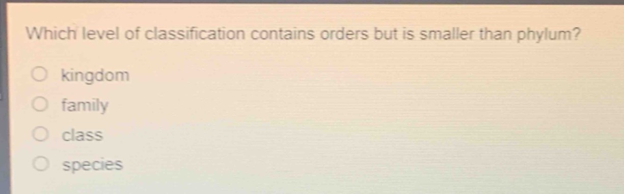 which level of classification contains orders but is smaller than phylum?\nkingdom\nfamily\nclass\nspecies