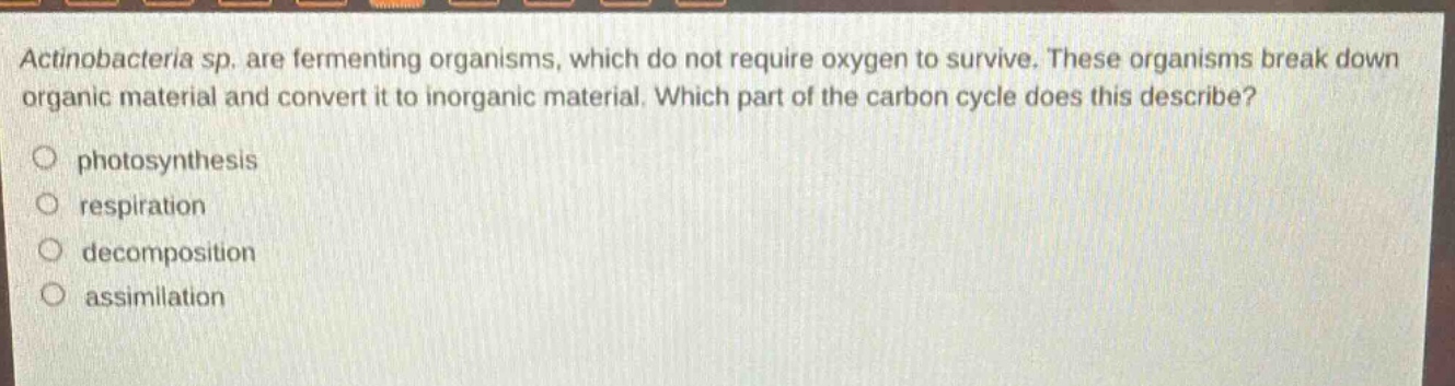 actinobacteria sp. are fermenting organisms, which do not require oxygen to survive. these organisms break down organic material and convert it to inorganic material. which part of the carbon cycle does this describe?\no photosynthesis\no respiration\no decomposition\no assimilation